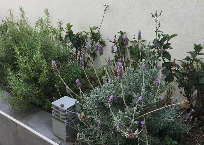 Evelyn's Cozy * Rhodes City