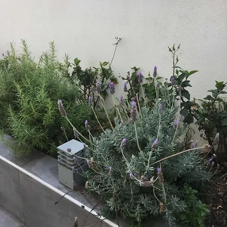 Evelyn's Cozy * Rhodes City